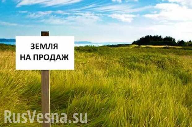 Воровство кур в Британии и закон о продаже земли на Украине тесно связаны между собой | Русская весна