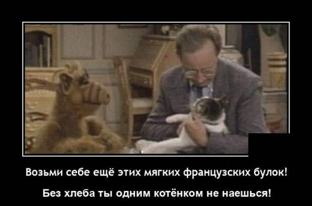 Демотиватор про Альфа