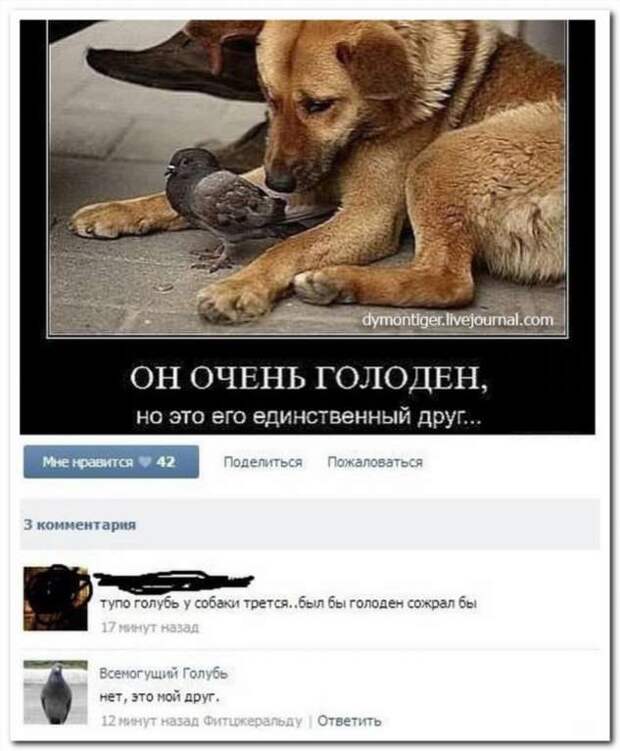 Неадекватный юмор из социальных сетей. Подборка chert-poberi-chert-poberi-57040621022020-17 картинка chert-poberi-57040621022020-17