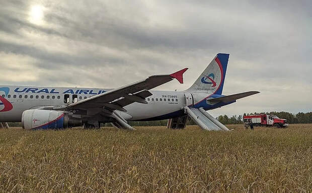 Посадившему в 2023 году самолёт в поле пилоту предложили работу за границей