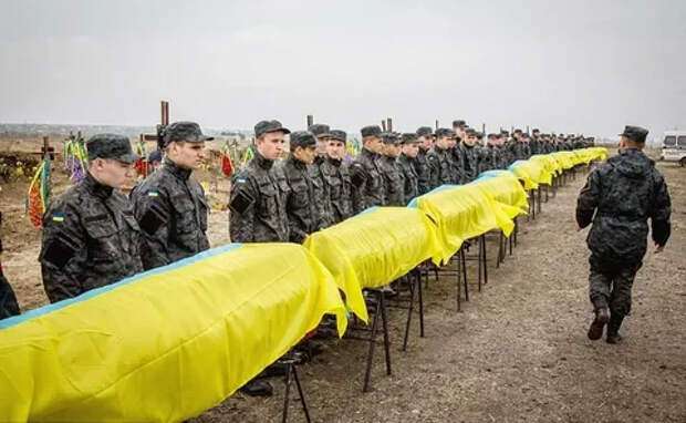Украинский вермахт