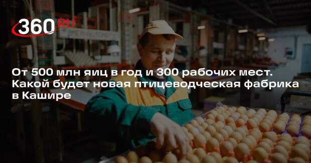 Крупнейший в России комплекс по производству куриных яиц построят в Кашире