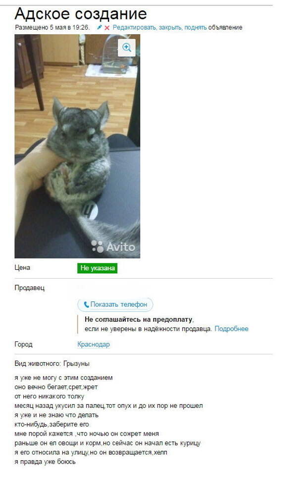 Смешные комментарии из социальных сетей! комменты, соцсеть