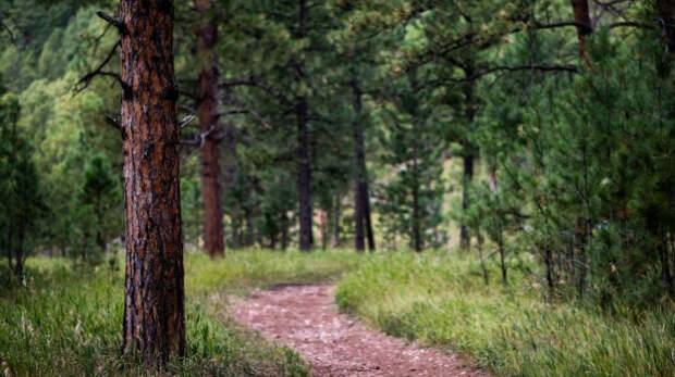В заповедниках «Опукский» и «Казантипский» продлили режим тишины