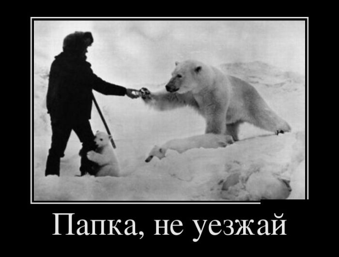 Лучшие демотиваторы дня. Часть 367. Лучшие демотиваторы дня. Часть 367.