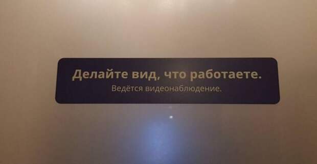 15 доказательств того, что на работе может быть весело