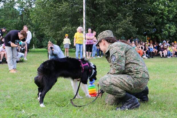 Федеральная таможенная служба представит своих служебных собак на фестивале "Лето в Москве"