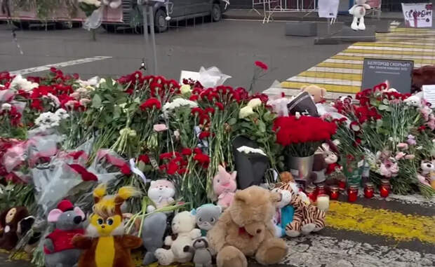 Ливанский эксперт считает, что организаторы теракта в Подмосковье хотели вбить клин между РФ и исламским миром