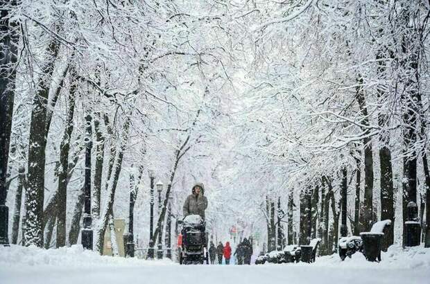 Синоптик предупредил о снегопадах и резком похолодании в Москве