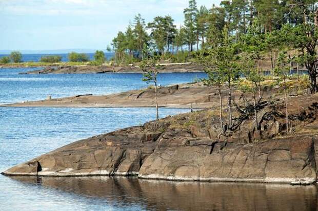 Чиновники Ленобласти получили условные сроки за кражу земли у Ладожского озера