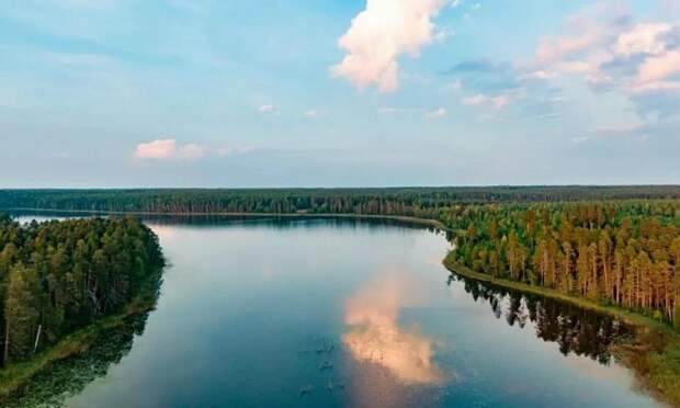 Экотропа в Сийском заказнике Поморья открыла сезон после потепления
