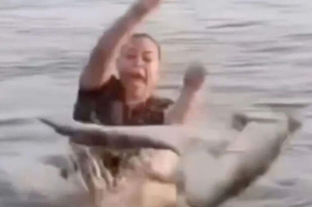 На видео попал момент, как плававшая в реке женщина приняла аллигатора за бревно