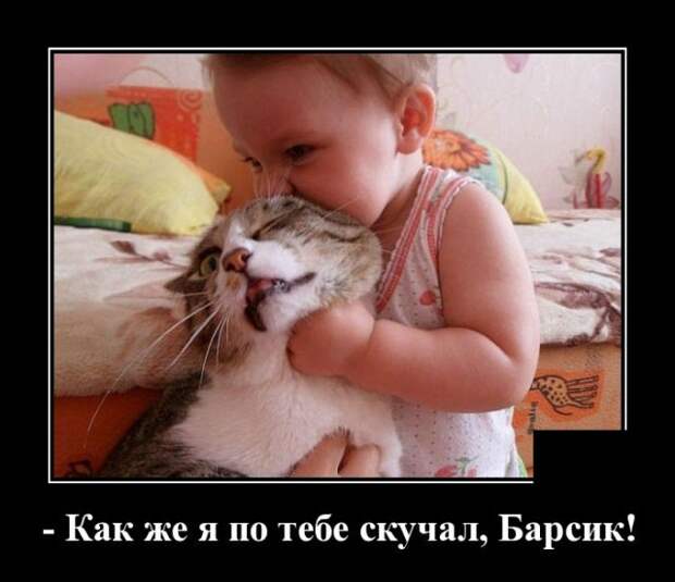 Демотиватор про кота