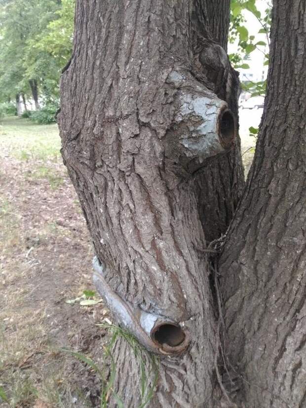 Приколы про Челябинск