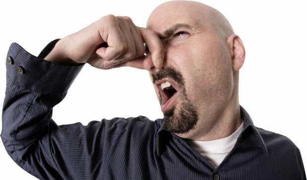 Россиян предупредили о штрафе за неприятный запах из квартиры