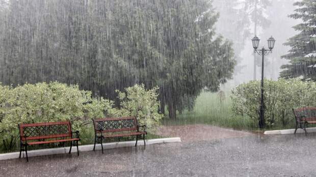 В Москве и области 13 июня ожидаются сильные продолжительные дожди с грозами