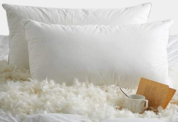 Пуховую подушку нужно стирать при 30 градусах и хорошо высушивать / Фото: ae01.alicdn.com