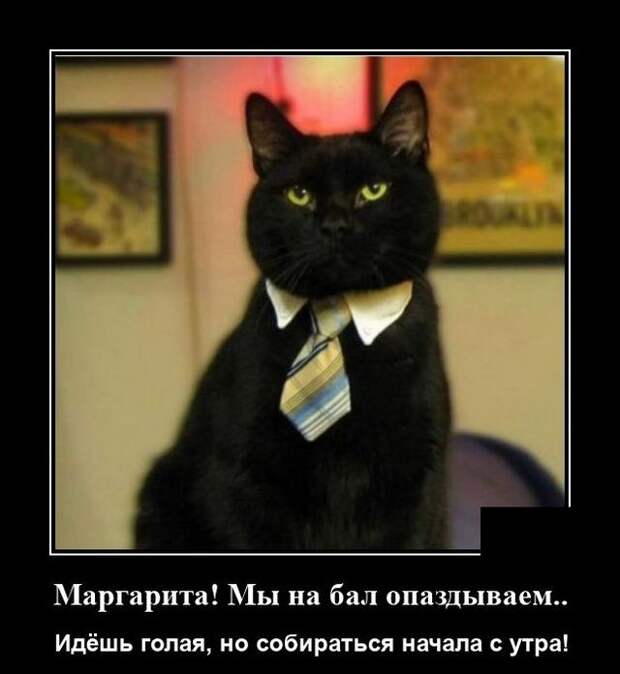 demotivatory-demotivator-smeshnye-demotivatory-demotivator-so-smyslom