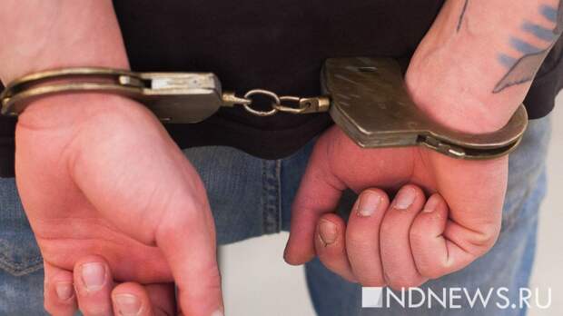 Владельцы скандального приюта задержаны по подозрению в хищении бюджетных денег