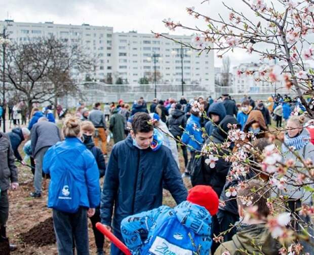 В Севастополе начали высаживать «Сады памяти»