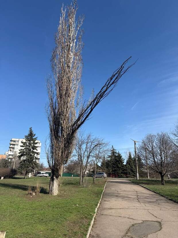 в Горняцком районе Макеевки