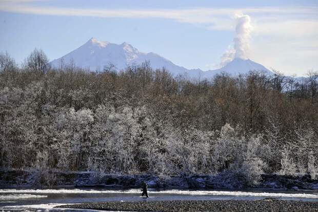 Вулкан Шивелуч на Камчатке выбросил пепел на высоту 10,6 километра