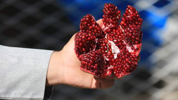 Ученые узнали о способности натуральных соединений замедлить иммунное старение