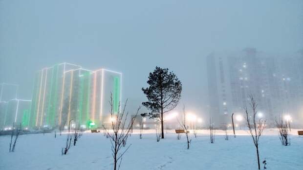 "Метели поднимутся, термометры опустятся". Каким будет первый день зимы на Алтае?