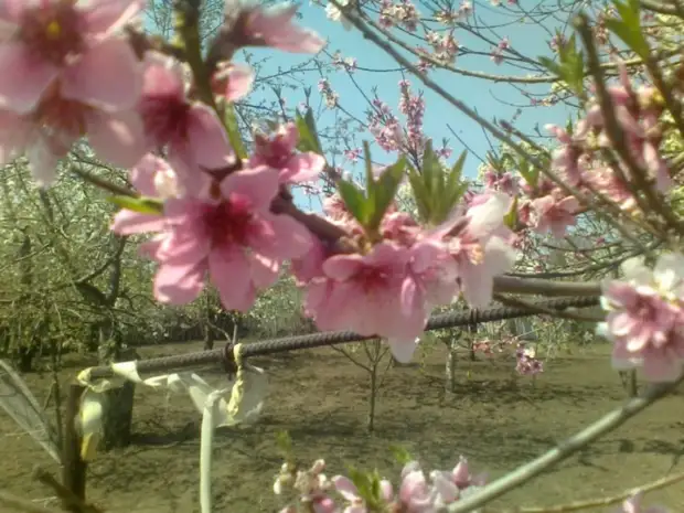 В небе цвета глаз твоих (Юрий Михайлов Марине)