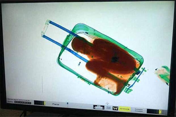 Без фотошопа: 10 реальных фотографий, больше похожих на сказочные коллажи