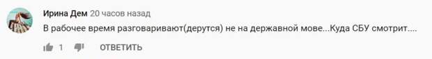 Украинцы высмеяли жалкую драку помощника Богуцкой и депутата от Рабиновича