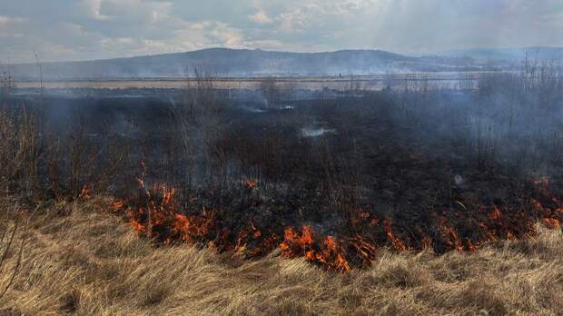 Десять человек спасли при лесных пожарах в Забайкалье
