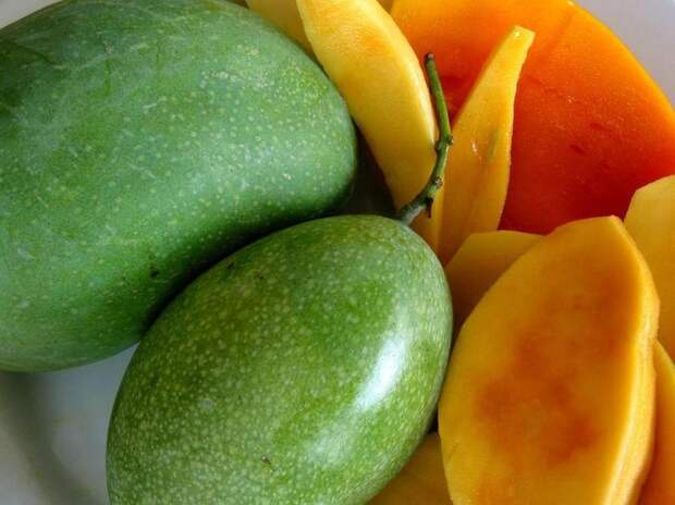 выбор плода манго