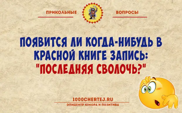 Смешной вопрос почему. Смешные вопросы. Прикольные вопросы. Шуточные вопросы. Ржачный вопрос.