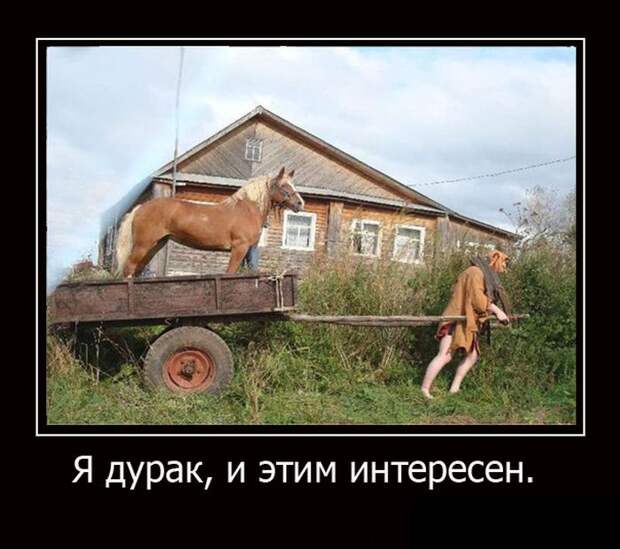 Демотиваторы