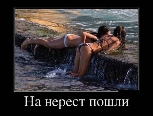 Демотиваторы. 74 часть (30 фото)