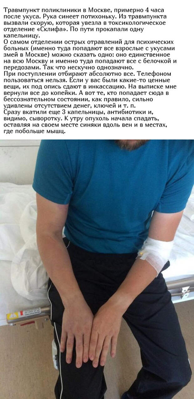 www.vsyako.net