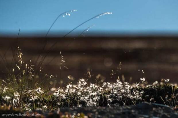Как живут современные чукчи (29 фото)