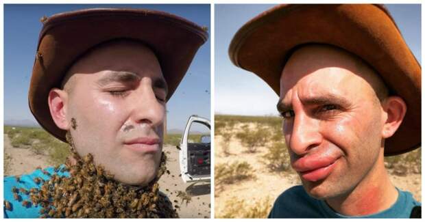 Исследователь дикой природы попытался сделать себе бороду из 3000 пчел Койот Питерсон, борода, видео, лицо, пчелы