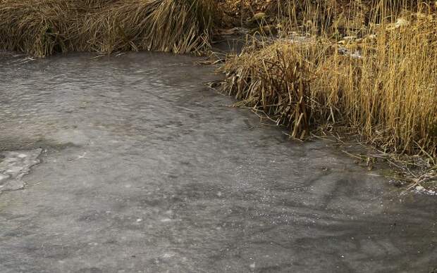 водоемы.jpg