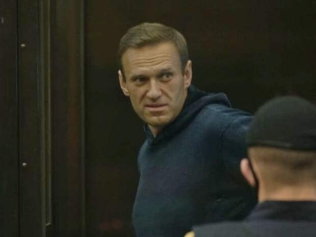 Волков рассказал о намерении Amnesty International в ближайшие дни вернуть Навальному статус узника совести