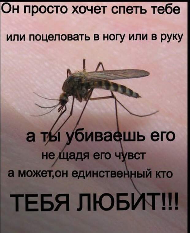 Позитивный пост+142 Позитивный пост+142