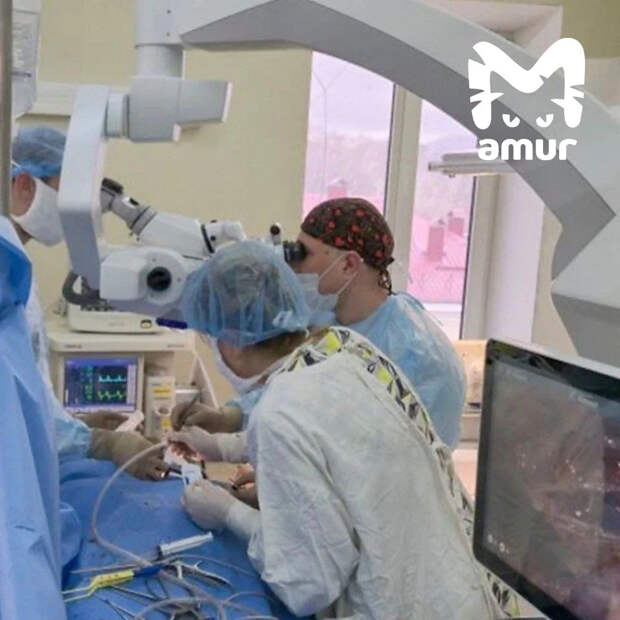 Ребенок из Находки чуть не погиб после падения с самоката