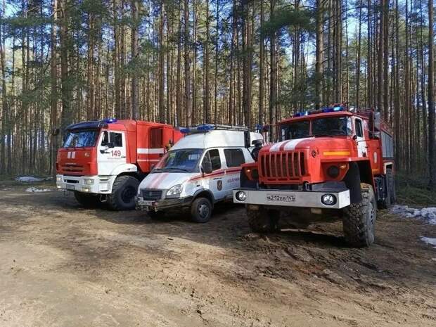Стало известно, когда в Ленобласти введут пожароопасный режим