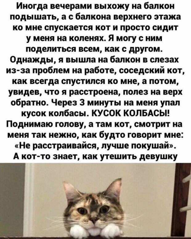 Знает как утешить