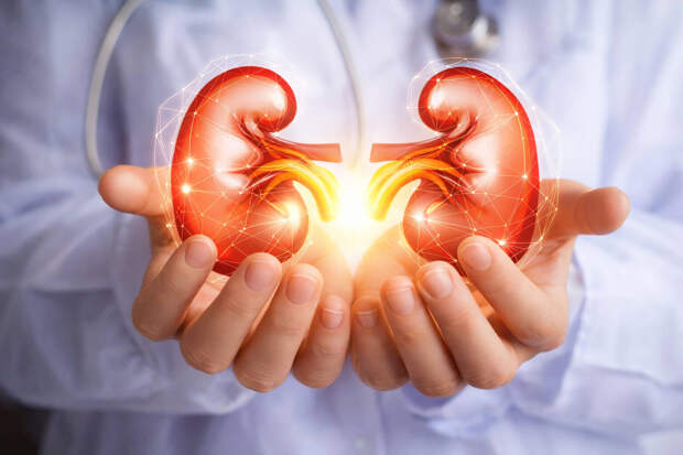 Нефролог предупредил о "тихой пандемии", угрожающей каждому пятому