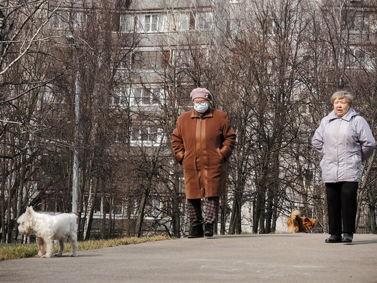 Битва за возврат старого пенсионного возраста продолжилась Битва за возврат старого пенсионного возраста продолжилась