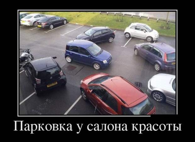 Демотиваторы (30 фото)