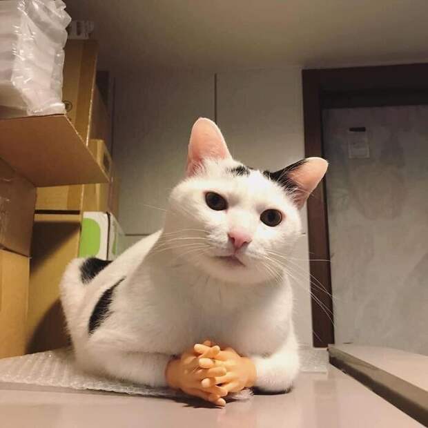 Донецк ракетная опасность