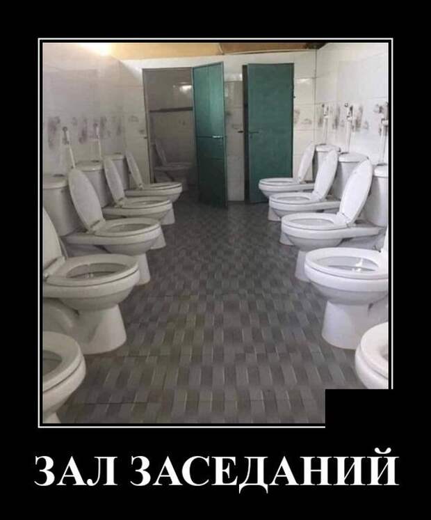 Демотиваторы 7 октября 2021 года